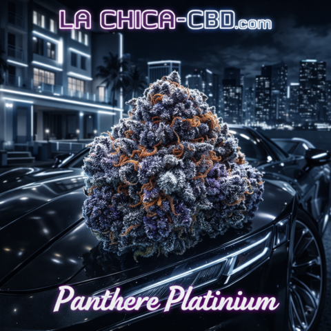 Panthère Platinium